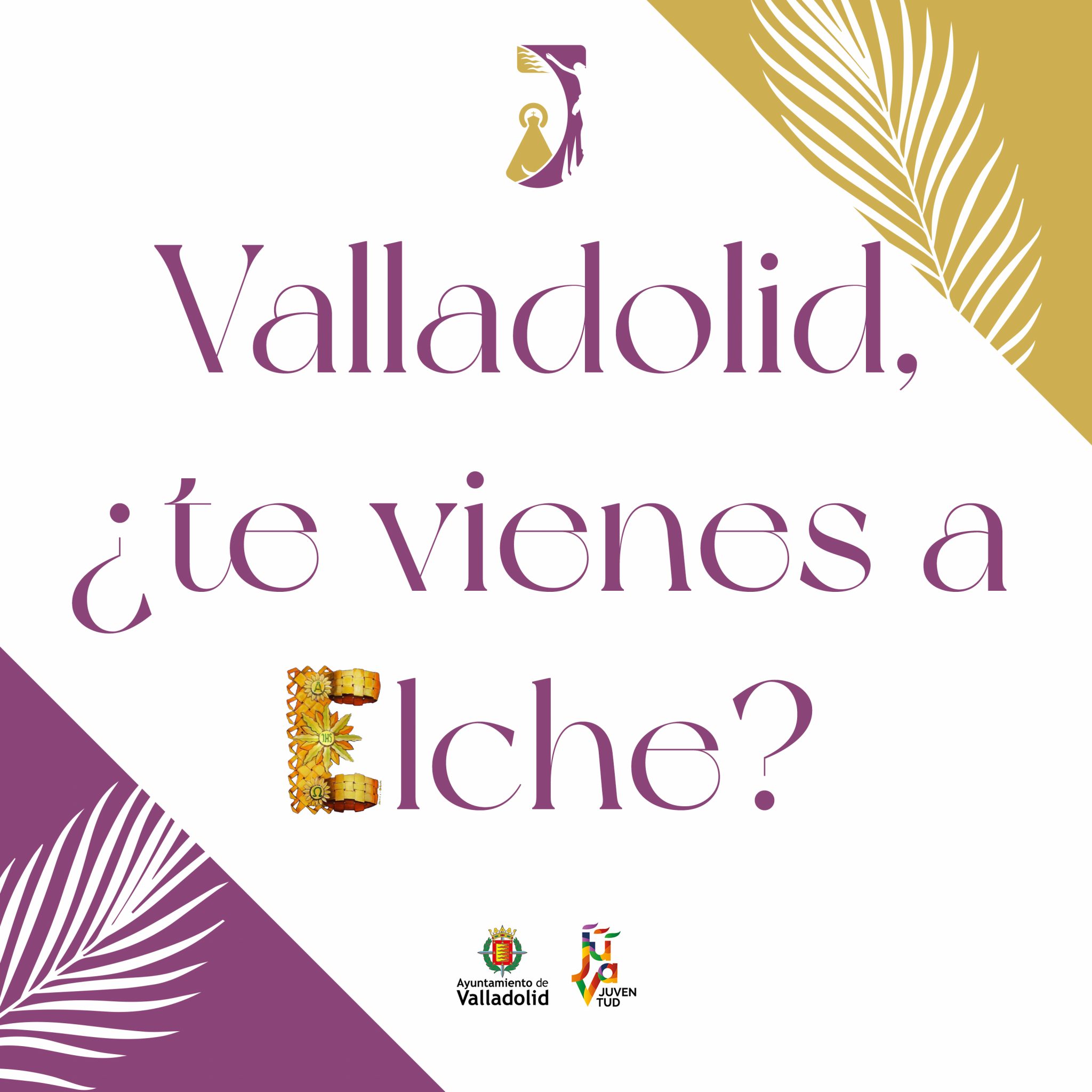 JOHC Elche Delegación de Valladolid